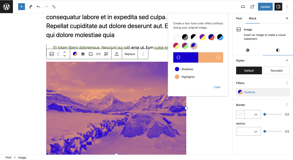 Example of selected duotone filter